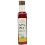 Natural Jihlava Ume Ocet 250ml – Hledejceny.cz