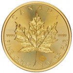 Royal Canadian Mint zlatá mince Maple Leaf 2025 1 oz – Zboží Dáma
