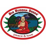Big Buddha Seeds G Bomb semena neobsahují THC 10 ks – Zboží Dáma