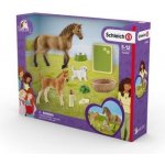 Schleich 42432 Set hříbě a Quarter kůň se štěňátkem a doplňky – Zboží Mobilmania