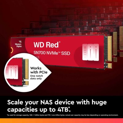 WD Red SN700 2TB, WDS200T1R0C – Zboží Mobilmania
