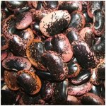 Život bez lepku Fazole velká barevná 0,5 kg – Zboží Dáma