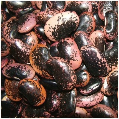 Život bez lepku Fazole velká barevná 0,5 kg – Zboží Dáma