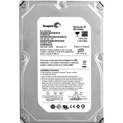 Seagate 250GB SATA II 3,5", ST3250621NS – Zbozi.Blesk.cz