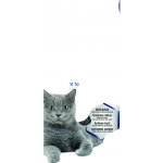 Biokat's Active Pearls 700 ml – Zboží Mobilmania