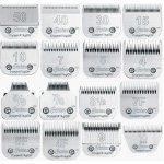 Oster Hlava stříhací pro Strojek Golden A5 30 0 5 mm – Zboží Mobilmania