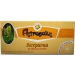TNT-21 Astragalus Kozinec blanitý ampule 10 x 10 ml – Hledejceny.cz