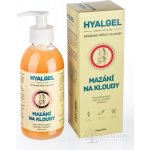 Hyalgel Mazání na klouby 250 ml – Hledejceny.cz