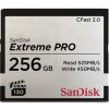 Paměťová karta SanDisk 256 GB SDCFSP-256G-G46D