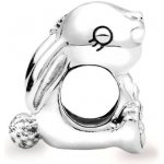 Pandora 798763C00 – Sleviste.cz