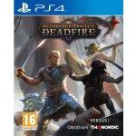 Pillars of Eternity 2: Deadfire (Ultimate Edition) – Hledejceny.cz