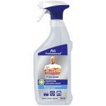 Mr.Proper PROF 750 ml – Zboží Dáma