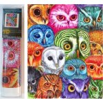 Norimpex Diamantové malování Soví koláž 30 x 40 cm – Zbozi.Blesk.cz