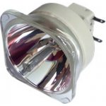 Lampa pro projektor NEC NP-P554UG, kompatibilní lampa bez modulu – Hledejceny.cz