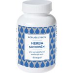Naturvita Herba odvodnění 60 kapslí – Hledejceny.cz