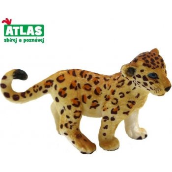 Atlas A Leopard mládě