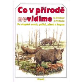 Co v přírodě nevidíme -- po stopách savců,ptáků,plazů a hmyzů Miroslav Bouchner, Pavel Procházka