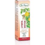 Dr.Popov Lymfa detox originální bylinné kapky 100 ml – Hledejceny.cz