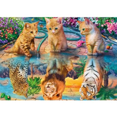 Norimpex Diamantový obrázek Zrcadlení 30 x 40 cm 1004873 – Hledejceny.cz