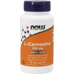 Now Foods Foods L-Karnosin 500 mg 50 kapslí – Hledejceny.cz
