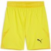 Puma teamFINAL Shorts