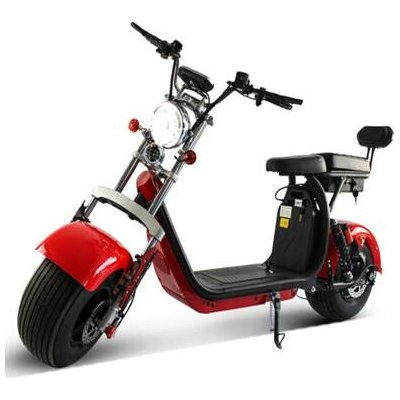 EcoWheel GR11X 2000W 40Ah zelená matná – Sleviste.cz