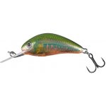 Salmo Hornet Floating Holo Oikawa 3,5 cm – Hledejceny.cz