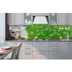 DIMEX KI260-012 Samolepící fototapeta do kuchyně Dandelion rozměry 260 x 60 cm – Hledejceny.cz