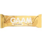 GAAM Proteinová Tyčinka 45 g – Hledejceny.cz