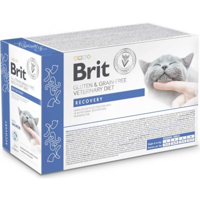 Brit Veterinary VD Cat Pouch fillets in Gravy Recovery 12 x 85 g – Zboží Mobilmania