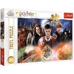 TREFL Tajemný Harry Potter 300 dílků – Zbozi.Blesk.cz