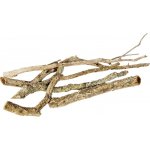 Invital Korkové větve 30-40 x 2-5 cm – Hledejceny.cz