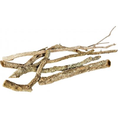 Invital Korkové větve 30-40 x 2-5 cm – Hledejceny.cz