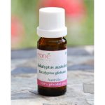 Eoné EUKALYPTUS ŠPANĚLSKÝ (AUSTRÁLIE) 10 ml – Hledejceny.cz