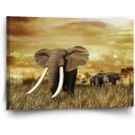 Sablio Obraz Slon Africký - 90x60 cm – Hledejceny.cz