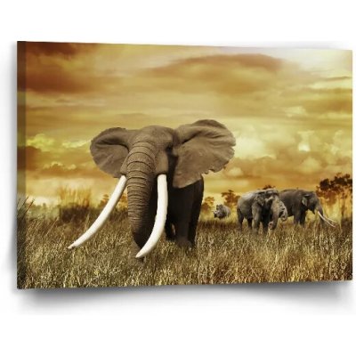Sablio Obraz Slon Africký - 90x60 cm – Hledejceny.cz
