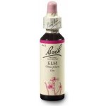 BACH Květová esence č. 11 Elm jilm 20 ml – Hledejceny.cz