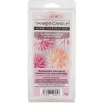 Yankee Candle Sugared Bloosoms vonný vosk 75 g – Hledejceny.cz