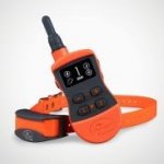 Elektronický obojok SportDOG 500m Tréner – Zboží Dáma