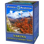 Everest Ayurveda VARUNA Ledviny a močové cesty 100 g – Hledejceny.cz