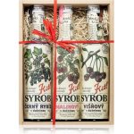 Kitl Syrob Černý rybíz a Malina a Višeň 3 x 0,5 l – Hledejceny.cz