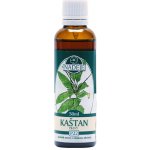 Naděje Kaštan pravý tinktura z pupenů rostlin 50 ml – Hledejceny.cz