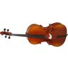 Violoncello Hora C100