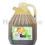 Gelapony Fast Biosol 3 l – Zboží Mobilmania