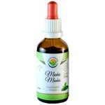 Salvia Paradise Muňa Muňa AF tinktura 50 ml – Hledejceny.cz