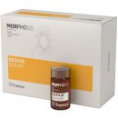 Framesi Morphosis Repair Serum 6x15 ml