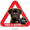 Autovýbava Grel nálepka na sklo pozor pes v autě mastif černý
