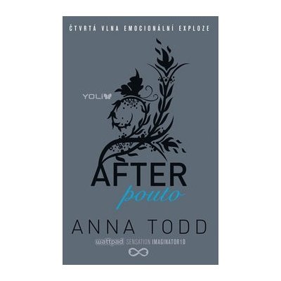 After Pouto - Todd Anna – Hledejceny.cz