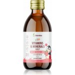 Blendea KIDS Sirup s vitaminy, minerály a beta glukany 150 ml – Hledejceny.cz