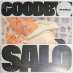 Brutalismus 3000 - Goodbye Salò The Remixes LTD LP – Hledejceny.cz